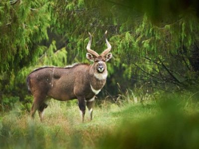 10 Hidden Gems in Ethiopia You Can Only Discover with Aman Ethiopia Tours