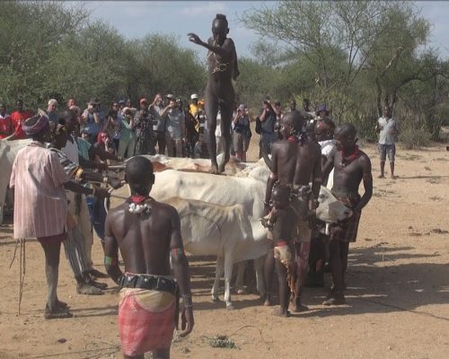 Everything You Need to Know About the Hamer Tribe Bull Jumping Ceremony