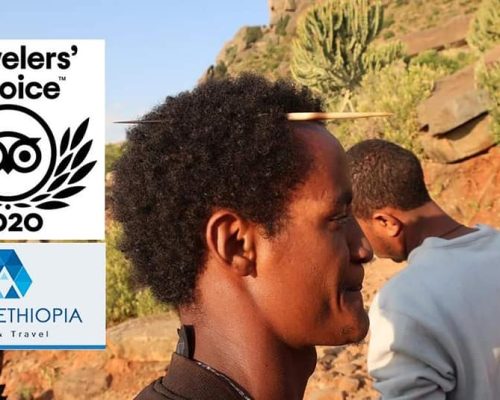 2020 TripAdvisor Travelers’ Choice Awards