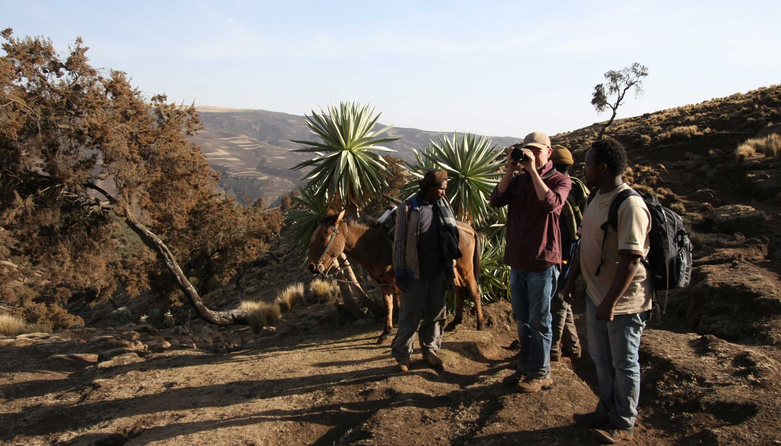 9 Days Bale Mountain National Park Trekking Aman Ethiopia Tours