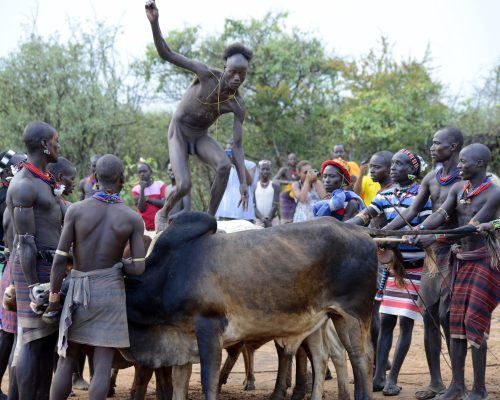 Hamar Tribe Bull Jumping Ceremony 2021
