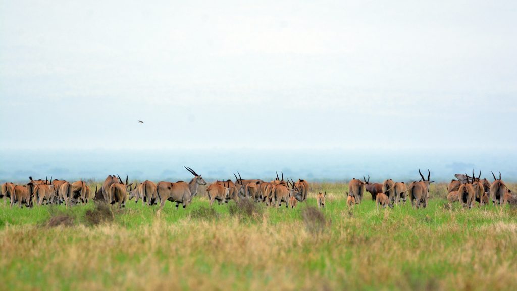 Omo National Park