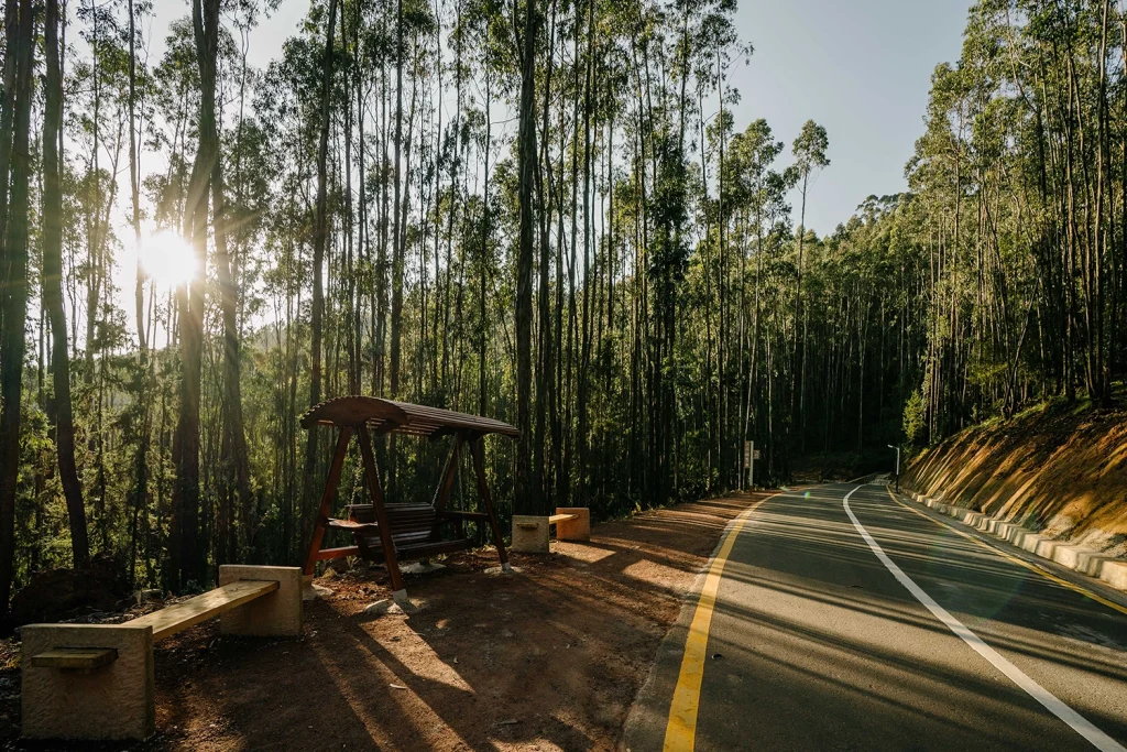 5. Mount Entoto – The Best Panoramic View of Addis Ababa
