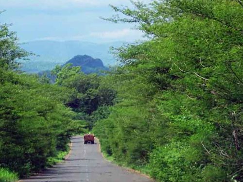 6 Days Combined Safari: Chebera Churchura & Gambela National Parks