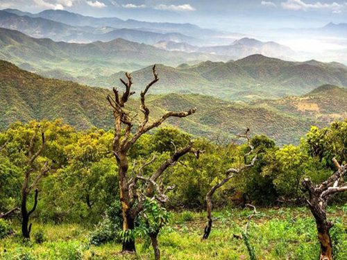 3 Days Chebera Churchura National Park Tour from Jimma