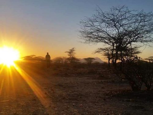 3 Days Chebera Churchura National Park Tour from Jimma