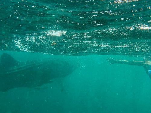 Djibouti City, Lake Assal & Island Escape