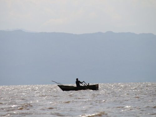 7-Day Ethiopian Nature Experience Tour: Addis Ababa – Debre Zeyit (Bishoftu) – Ziway – Abijatta-Shalla – Hawassa – Arba Minch