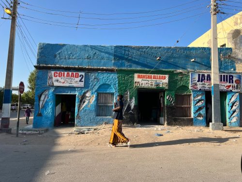 Somaliland: The One-Week Grand Heritage Expedition