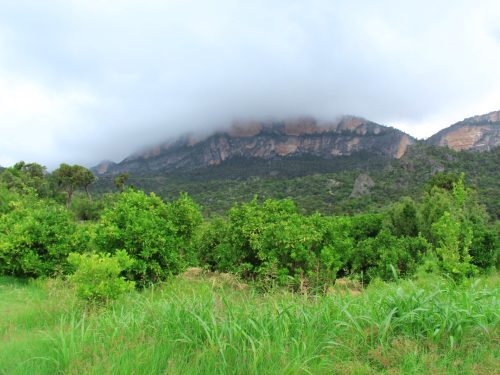 Somaliland: The Grand Neolithic & Cultural Expedition