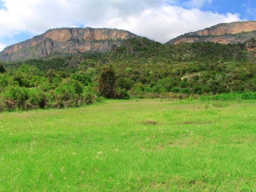 Somaliland: The Grand Neolithic & Cultural Expedition