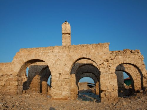 Somaliland: The Grand Neolithic & Cultural Expedition