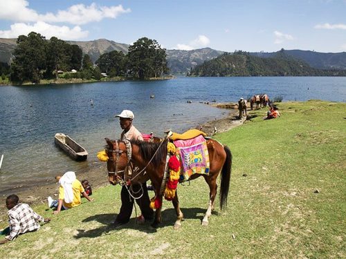5-Day Ethiopia Nature and Lakes Tour: Addis Ababa, Entoto Mountains, Bishoftu & Wenchi Crater Lake Escape