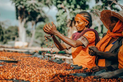 6 Days Surma and Coffee Experience Tour