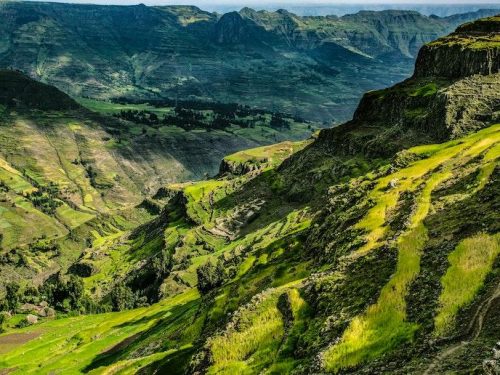 3 Days Safari and Trekking Tour to the Choke Mountains