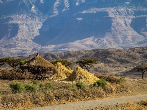 3 Days Safari and Trekking Tour to the Choke Mountains