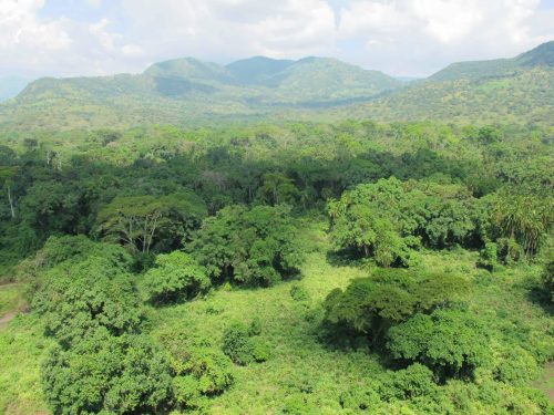 8 Days in Southwestern Ethiopia: Surma Culture, Coffee Highlands & Safari Experience