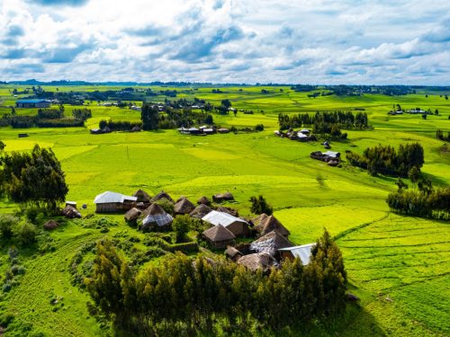 6 Days Surma and Coffee Experience Tour