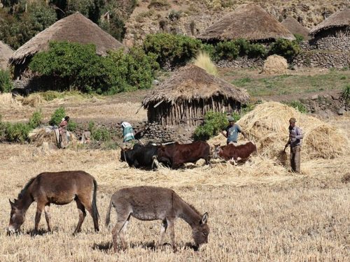 5 Days Community Trekking Tour