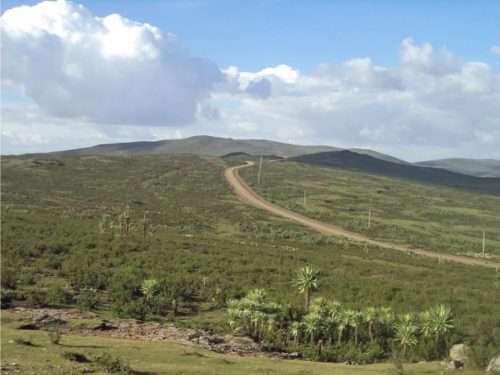 3 Days Safari and Trekking Tour to the Choke Mountains