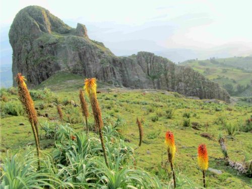 3 Days Safari and Trekking Tour to the Choke Mountains