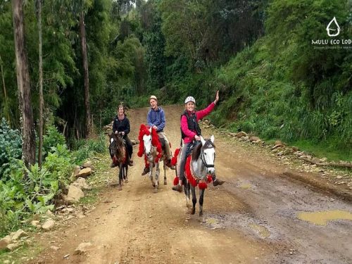 3 days community trekking Tour