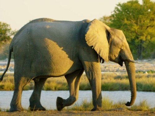 3 Days Torrent National Park Safari