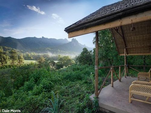 3 Days Torrent National Park Safari