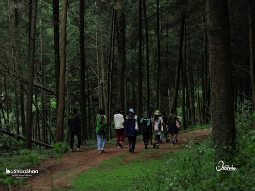 2 Days Lephis Community Ecotourism Village Experience
