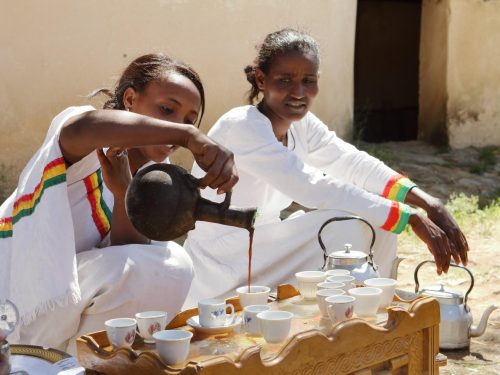 Pilgrimage to the Birthplace of Coffee: The Ultimate Seed to Cup Experience
