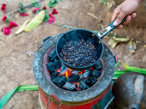 The Birthplace of Coffee & Seed to Cup Journey