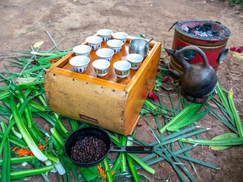 The Birthplace of Coffee & Seed to Cup Journey