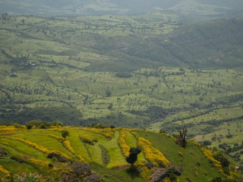 A Bespoke 3-Day Cultural Immersion with Aman Ethiopia Tours & Travel