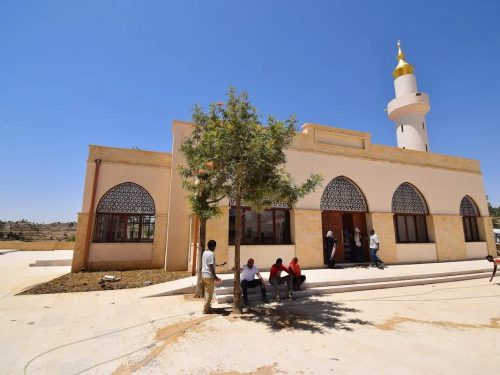 3 Days Ethiopia Islamic Heritage Tour | Al Nejashi Mosque, First Hijra & Addis Ababa