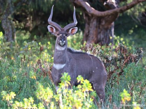 6-Day Highlands & Lowlands Hunting Expedition