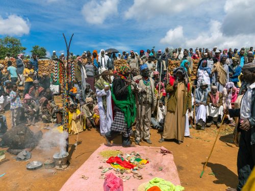 7 Days Ethiopia Islamic Heritage Tour | Al Nejashi, Dire Sheikh Hussein & Bale Mountains