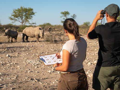 9-Day The Ultimate Conservation Safari