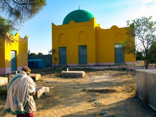 7 Days Ethiopia Islamic Heritage Tour | Al Nejashi, Dire Sheikh Hussein & Bale Mountains
