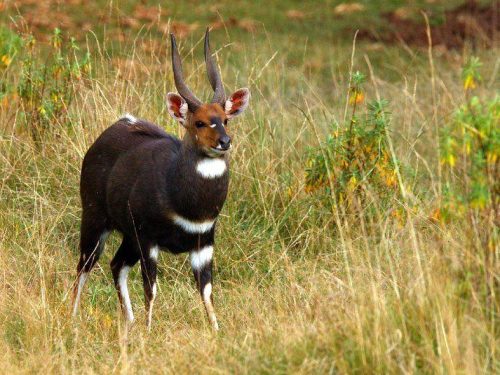 3-Day Highland Plains Introduction