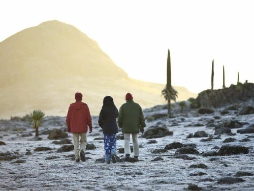 7 Days Ethiopia Islamic Heritage Tour | Al Nejashi, Dire Sheikh Hussein & Bale Mountains