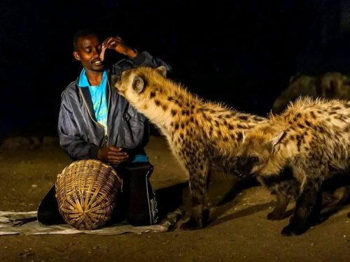3 days tour to Ethiopia’s Living History
