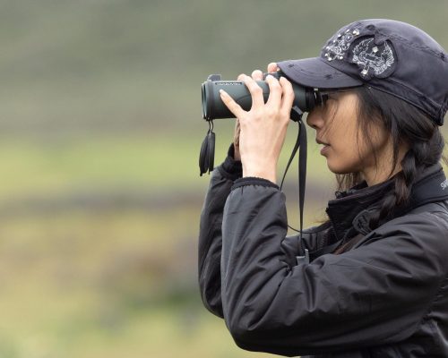 Best Places for Birdwatching in Ethiopia in 2026 and 2027: A Complete Birding Guide
